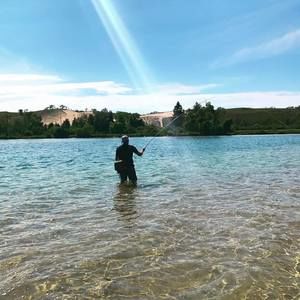 Meet your Posher, Joey