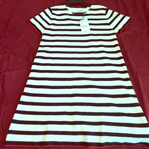 Zara Knit Dress
