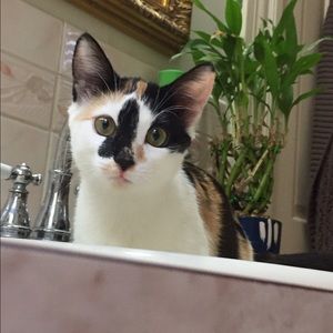 Meet your Posher, Heather