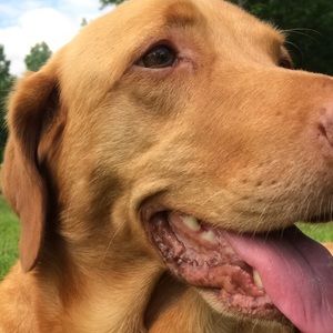 Meet your Posher, Jackie