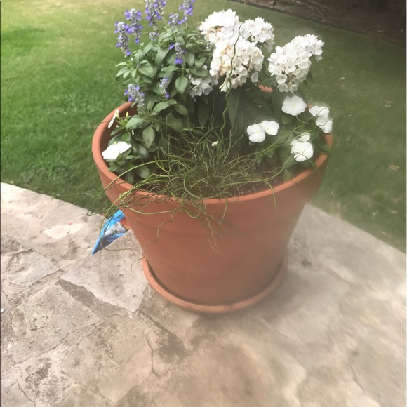 Meet your Posher, Kara - Picture 1 of 1