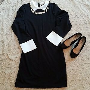 Venus fitted collared dress. Size 14