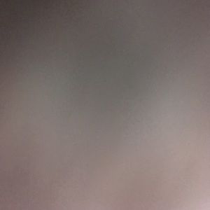 Meet your Posher, Dillon