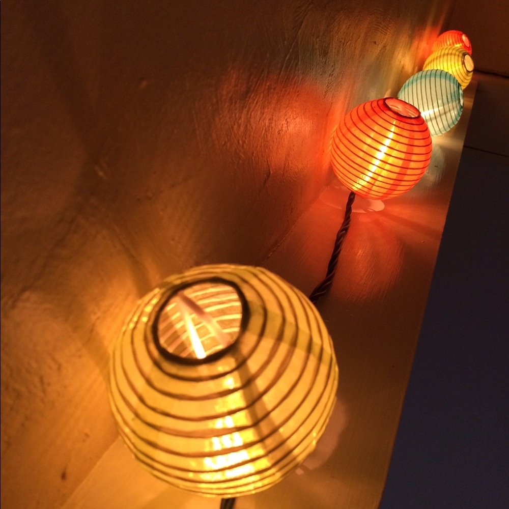 Meet your Posher, Molly