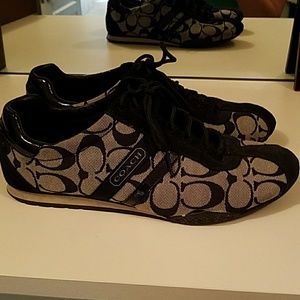 Coach katelyn sneakers