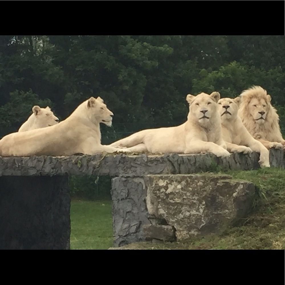 Meet your Posher, Rajiv