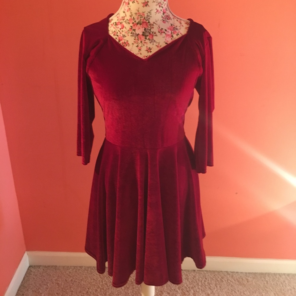 NWT Velvet Skater dress