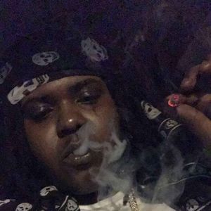 Meet your Posher, Niko