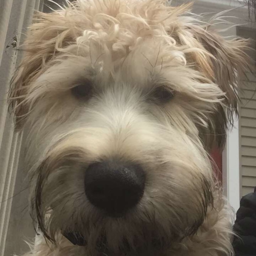 Meet your Posher, Lucie