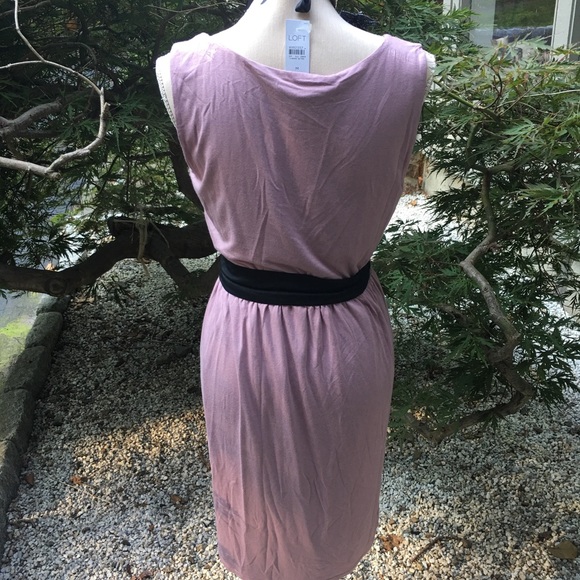 Ann Taylor Loft dust pink dress - Picture 6 of 9