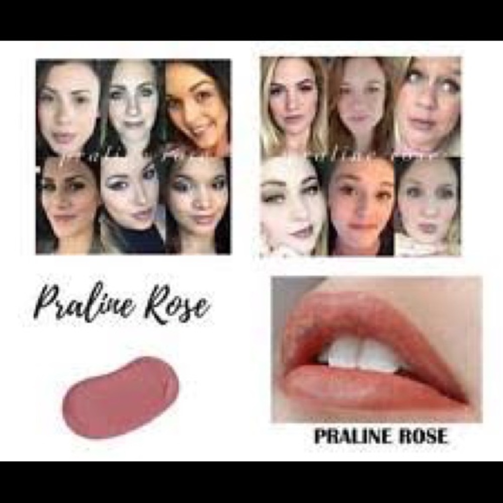 LAST CHANCE! Praline Rose Lipsense