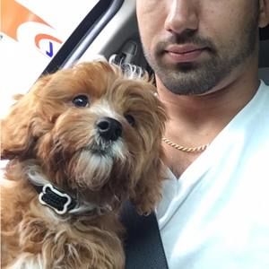 Meet your Posher, Daniel