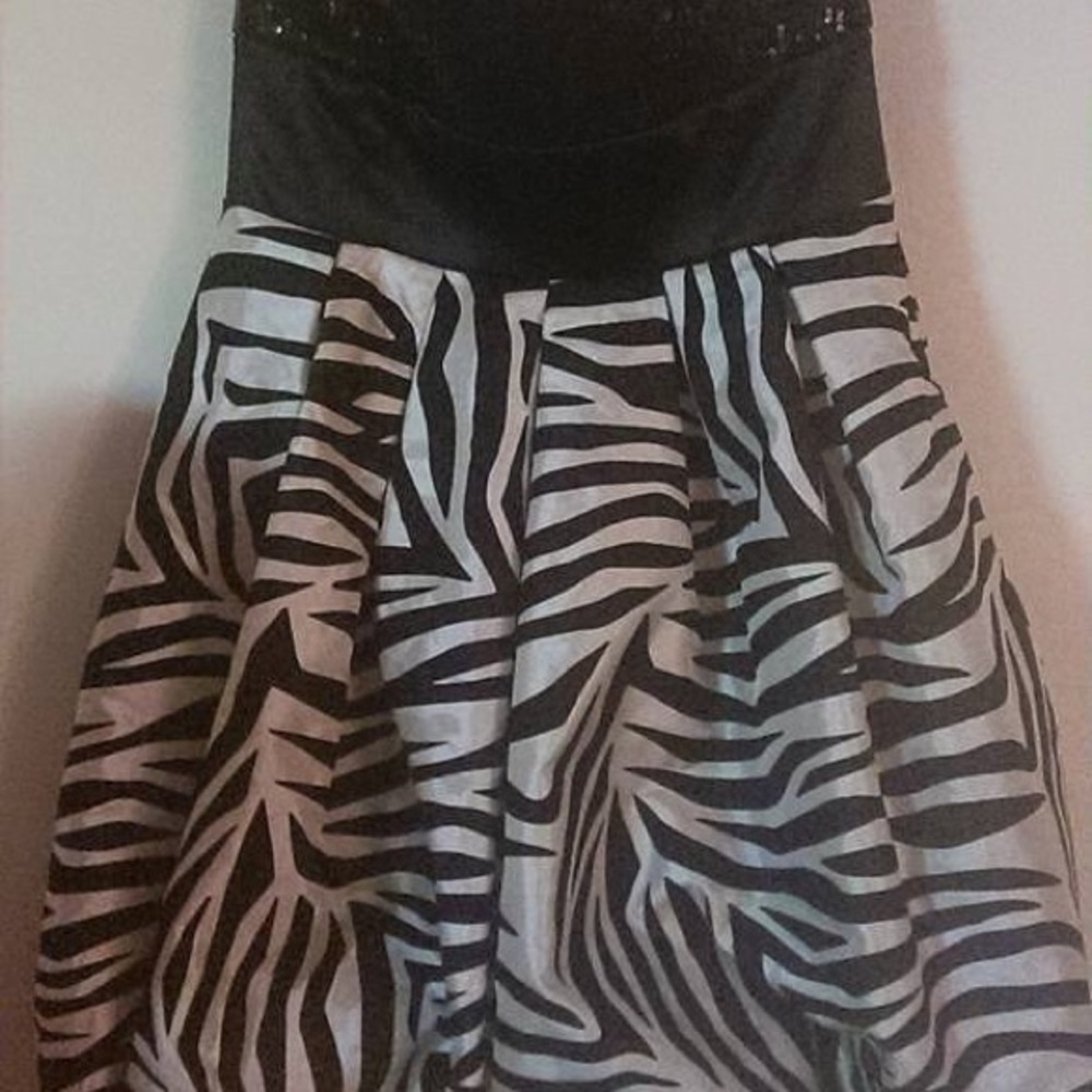 Zebra /black sequin cocktail dress.