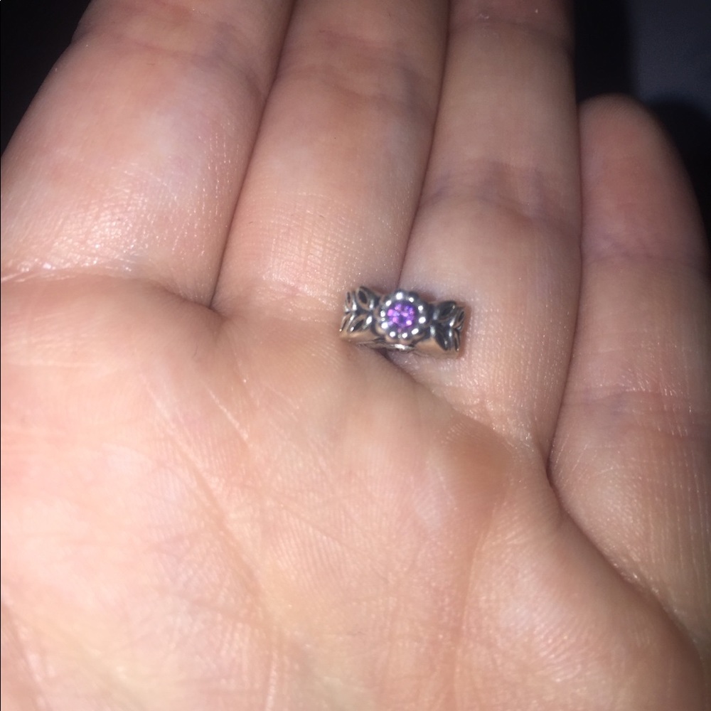 Silver and Purple Charm