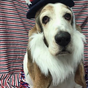 Meet your Posher, Rocio