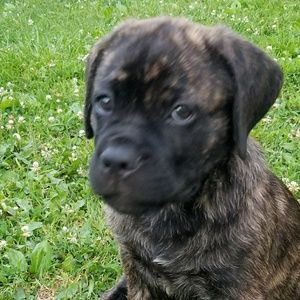 Meet your Posher, Narmina