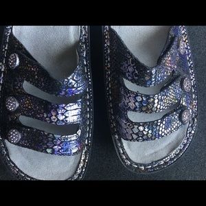 Algeria Size 7   Brand NEW!!!