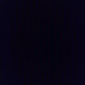 Meet your Posher, Denasia