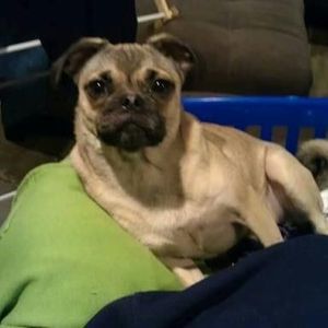 Meet your Posher, Brittney