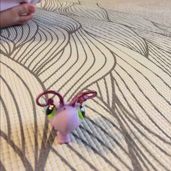 6 LPS all  - Picture 4 of 8