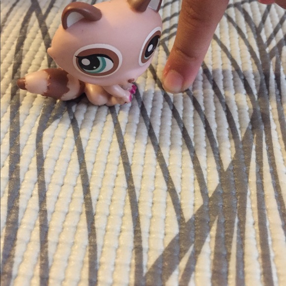 6 LPS all  - Picture 8 of 8