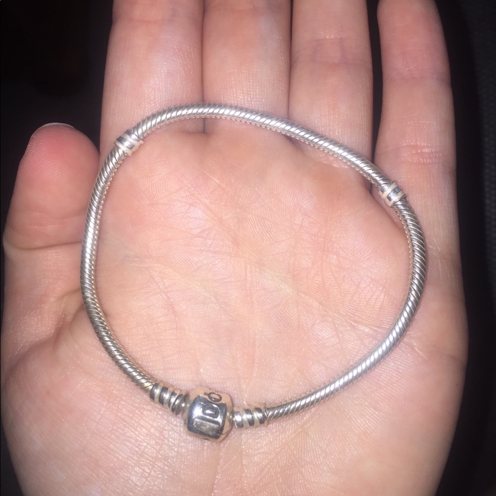 Pandora Bracelet