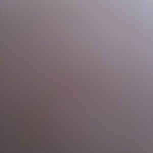 Meet your Posher, Bruce