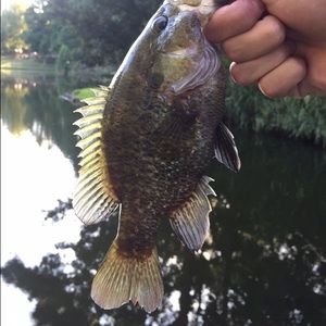 Meet your Posher, Jacob