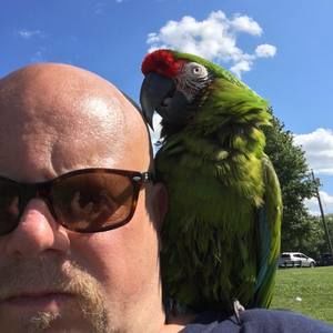 Meet your Posher, Damian