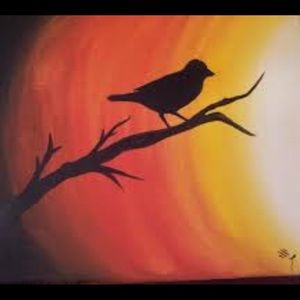 Meet your Posher, Darbie