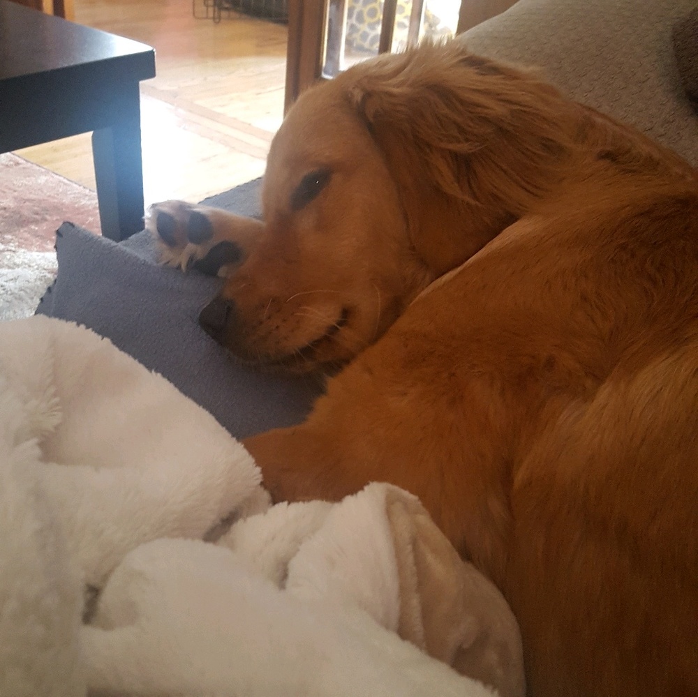 Meet your Posher, Jenna