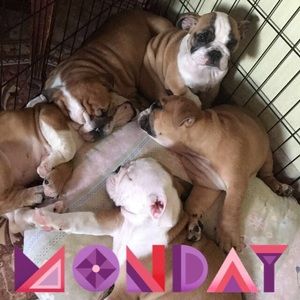 Meet your Posher, Vannessa