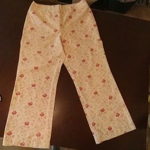 Ann Taylor Loft pants