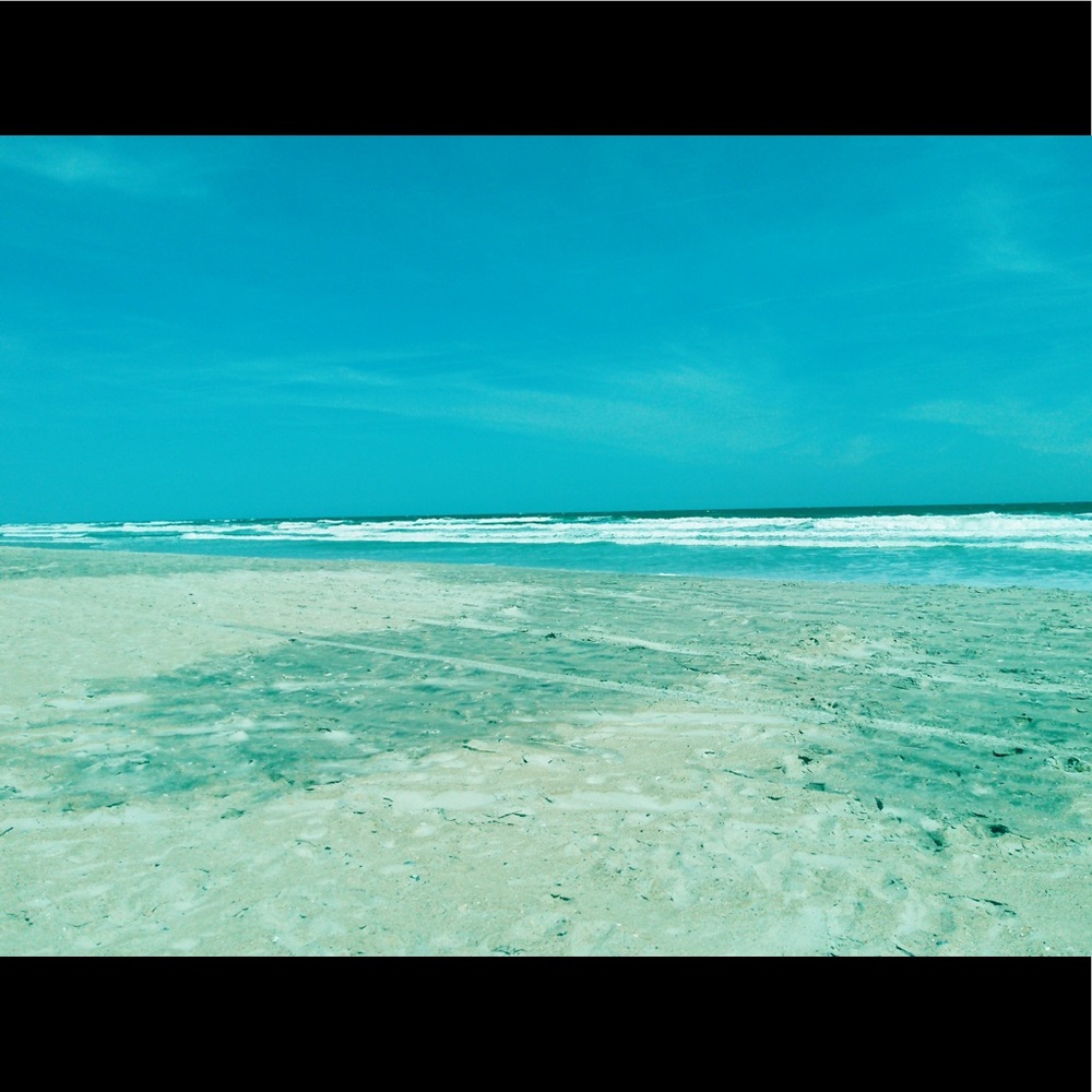 Meet your Posher, Shelly