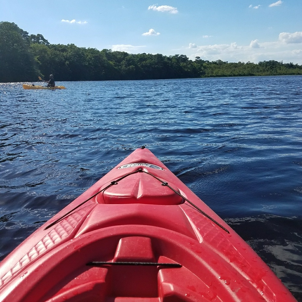 Meet Your Posher, ANeena
