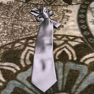Mens gray satiny necktie