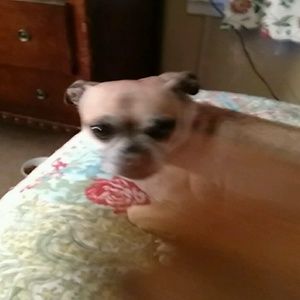 Meet your Posher, Diana