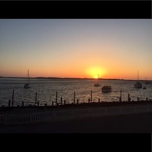 Meet your Posher, Zoe