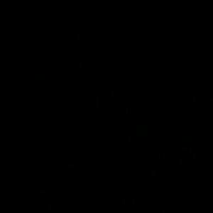 Meet your Posher, Isabel