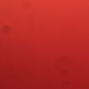 Meet your Posher, Jose