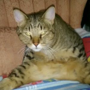 Meet your Posher, Lucy