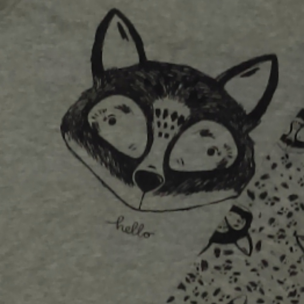 NWT Girl's Cat & Jack Raccoon Graphic Tee. - Picture 2 of 3