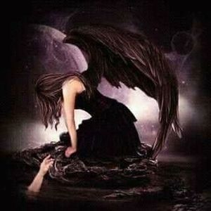 Meet your Posher, Lili