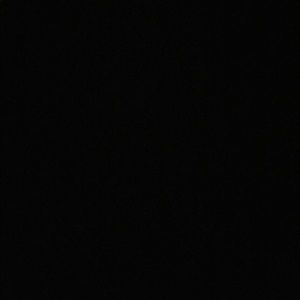 Meet your Posher, Bella