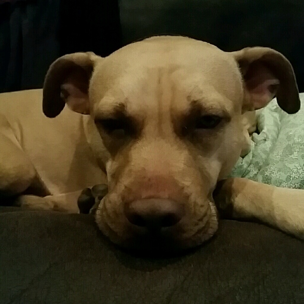 Meet your Posher, Dawne