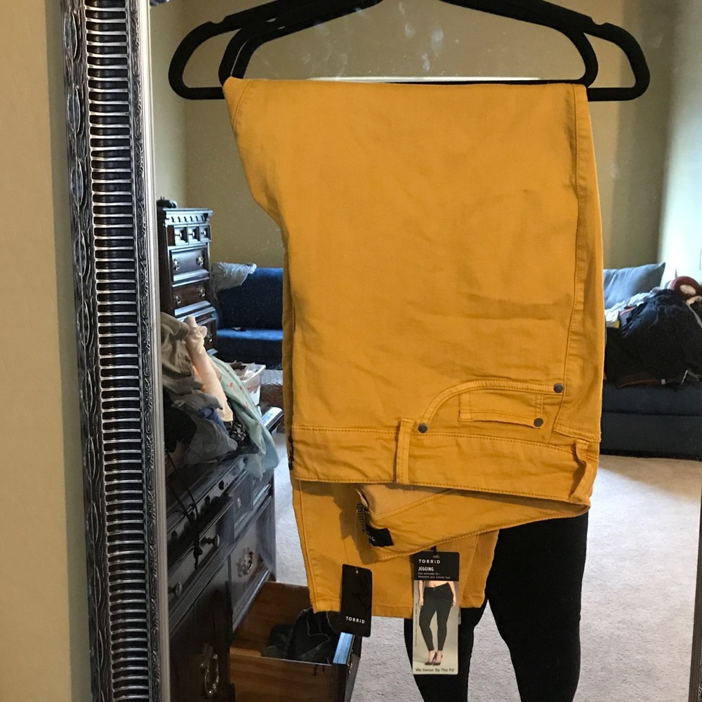 Torrid Jeggings