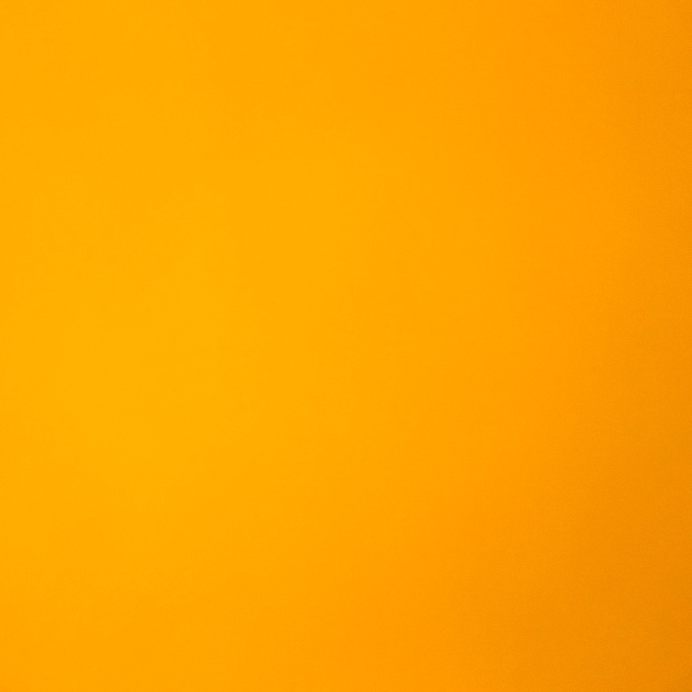 Meet your Posher, Ali