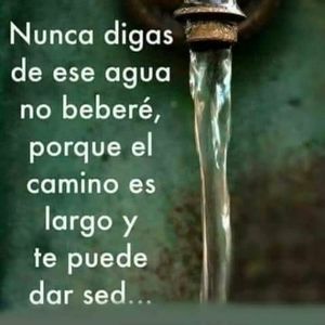 Meet your Posher, Eli