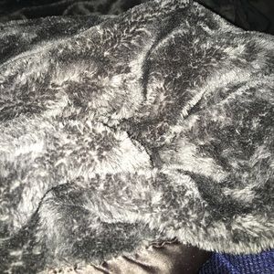 Meet your Posher, Sylvester