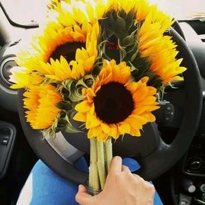 Meet your Posher, Caraballo